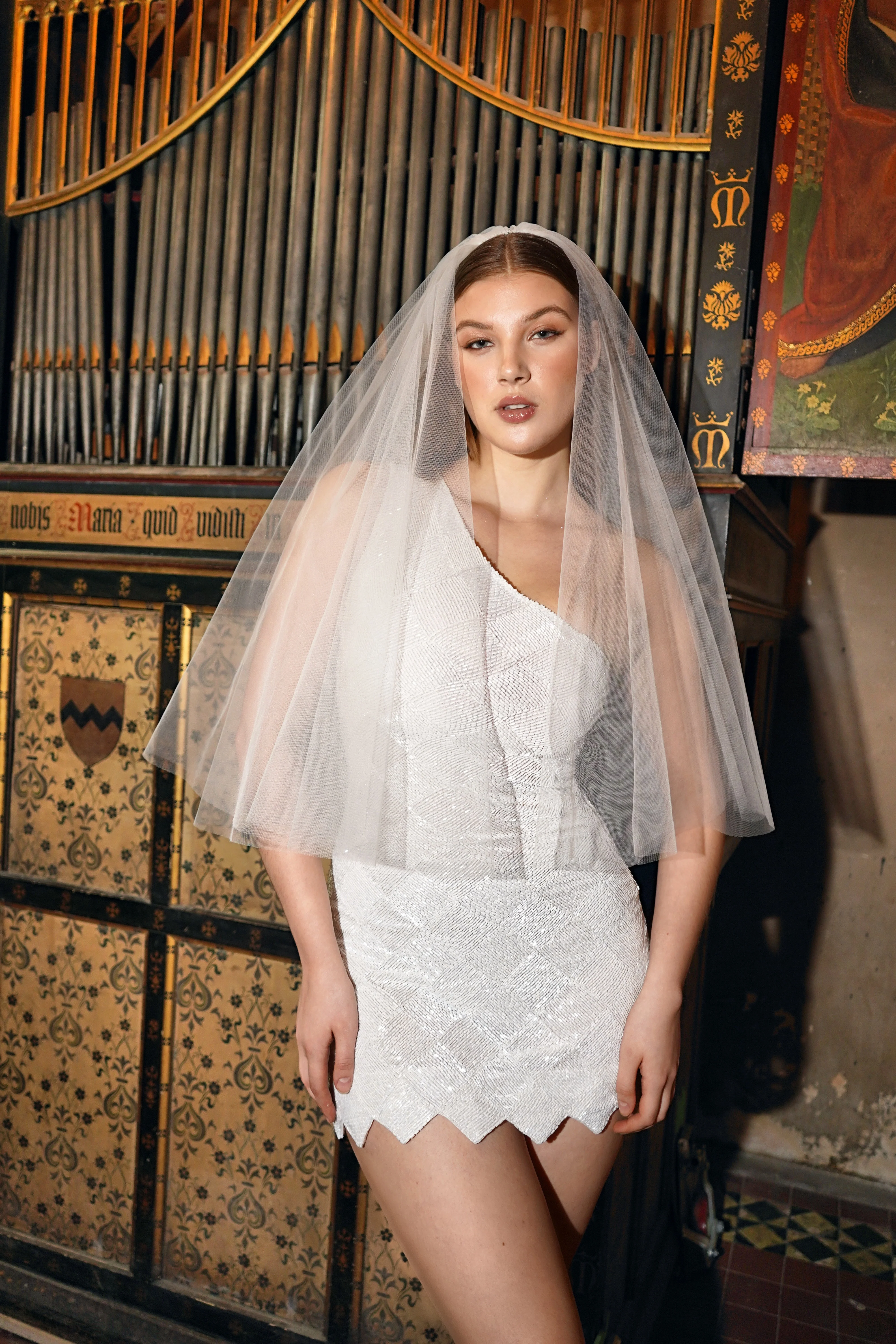 Capella Tulle Veil - Image 5